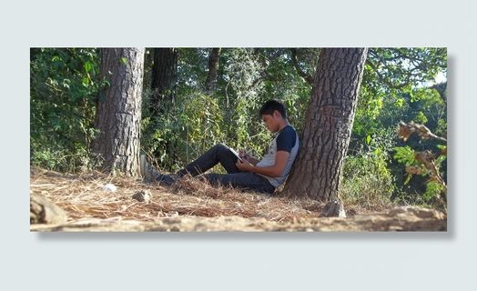 男人，灰色，t恤，黑色，裤子，倾斜，树皮，恋爱