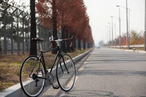 黑色，棕色，公路自行车，公路，自行车，微笑自行车，自行车，astro是微笑