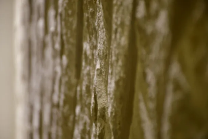 木材、植物、树木、树干、岩石、家居装饰、亚麻布、模具