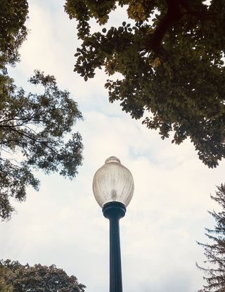 美国，普罗维登斯，树木，天空，植物，建筑，建筑结构，云天