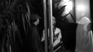 街道，派对，寒冷，白色，黑色，房子，朋友，植物