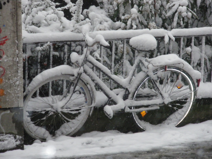 灰色，沙滩巡洋舰自行车，有盖，雪，停放，旁边，金属框架，冬季