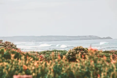 海浪,穿越,树木,植物,自然,秋天,秋天,风景 海浪,穿越,树木,植物,自然,秋天,秋天,风景