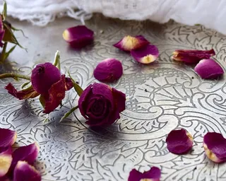 美国，佛罗里达，鲜花，静物，情人节，爱情，干玫瑰，玫瑰