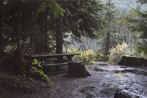 照片,棕色,木质,野餐桌,下雨,潮湿,树木,泥土 照片,棕色,木质,野餐桌,下雨,潮湿,树木,泥土