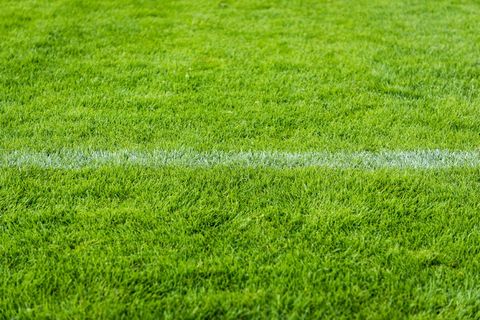 填充、框架摄影、绿色、草地、草丛、草地、草地、足球