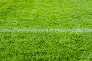 填充、框架摄影、绿色、草地、草丛、草地、草地、足球