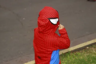 迷你，男人，蜘蛛，小偷，罪犯，犯罪，一个人，红色