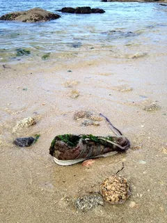 西班牙、维戈、版权空间、概念、鞋类、废弃、海滩、海洋 西班牙、维戈、版权空间、概念、鞋类、废弃、海滩、海洋