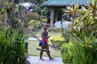 土著，小部落，美洲土著阿切尔，菲律宾土著，聚集，人，植物，一人