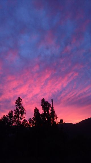 阳光，日出，华丽，天空色情，白天的照片，云，日落色情，自然