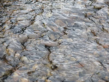 背景、水、石头、基础、镜像、波浪、岩石对象、化石