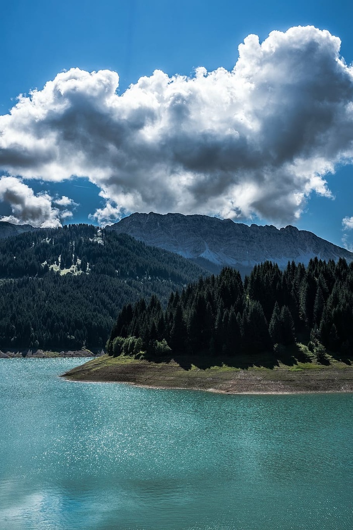 绿色，树木，岛屿，多云，天空，松树，白色，乌云密布