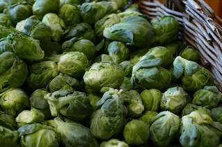 布鲁塞尔，象牙，蔬菜，健康，花园，种植，食品和饮料，食品