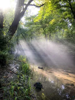 美国,汤森,凯德斯湾环路,太阳,森林,山脉,远足,凯德斯海湾 美国,汤森,凯德斯湾环路,太阳,森林,山脉,远足,凯德斯海湾