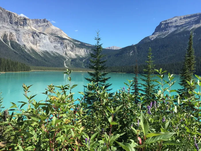 翡翠湖，加拿大，旅游，水，湖，翡翠，yoho，自然