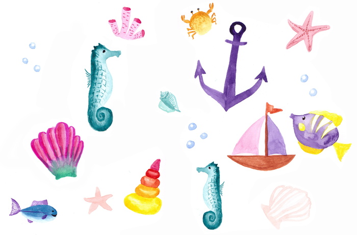 水彩画, 海洋生物, 特写, 照片, 贝壳, 生物, 图标集, 夏季
