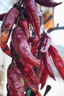 红色、干燥、辣椒、辛辣、cayenne、特写、日光、干燥