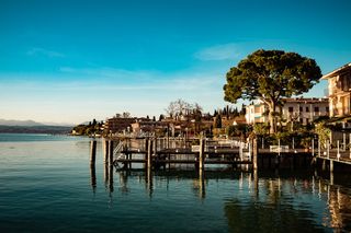 码头和白色建筑附近的绿树