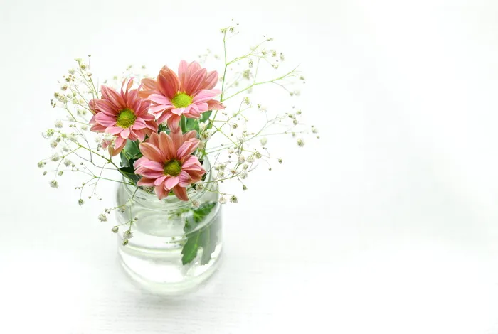 粉色，雏菊花，婴儿，呼吸花，透明，玻璃花瓶，花，碗