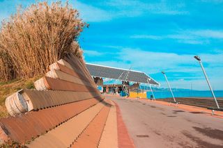 西班牙，巴塞罗那，滑板公园论坛，太阳能，植物，论坛，面板，图案