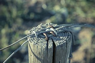 电线，柱子，栅栏，桩，标界，栅栏柱，电线，木桩