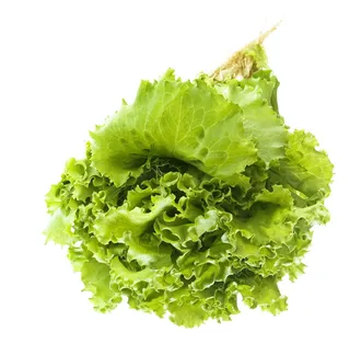 特写，黄瓜，饮食，吃，食物，新鲜，绿色，健康