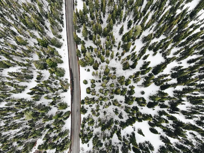 道路和积雪树木的航空摄影