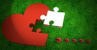 五、瓢虫甲虫、红色、心形、主题、图板插画、幸运瓢虫、拼图