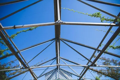 蓝天,建筑,树叶,光线,线条,钢铁,树木,建筑 蓝天,建筑,树叶,光线,线条,钢铁,树木,建筑