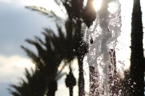 水、喷泉、火炬、光、鸟、动物、阳光、水晶