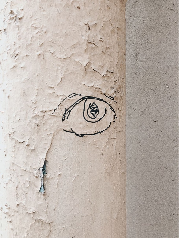皮尔卡的眼睛插图