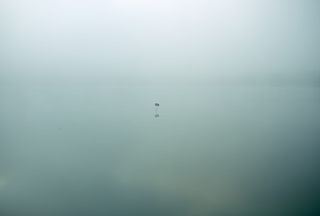 路标，水，湖，倒影，标志，招牌，柱子，什么都没有