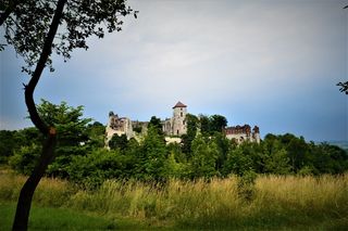波兰, Rudno, Zamek tenczyn, 中世纪, 建设, 城堡, 树, 文化