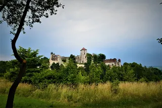 波兰, Rudno, Zamek tenczyn, 中世纪, 建设, 城堡, 树, 文化