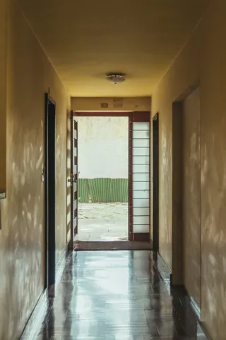 白色和棕色通道