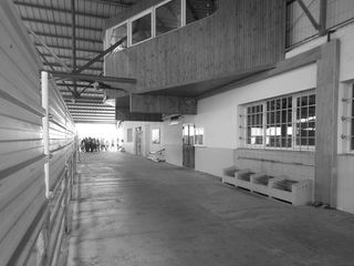 法国，市场，市场大厅，建筑，结构，内部，已建结构，建筑