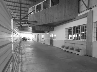 法国，市场，市场大厅，建筑，结构，内部，已建结构，建筑