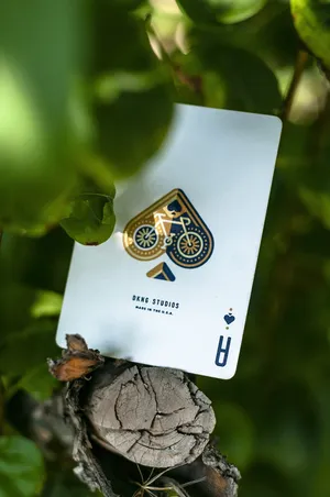 dnkg工作室，红轮扑克牌，红轮，红轮，扑克牌，dkng，牌，牌