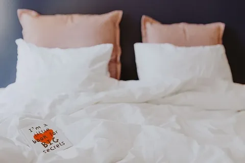 带窗户的白色卧室内部 带窗户的白色卧室内部