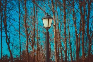 无叶树附近的黑色灯柱