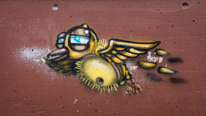 涂鸦，装饰，绘画，墙壁，艺术，人物，鸟，绘画