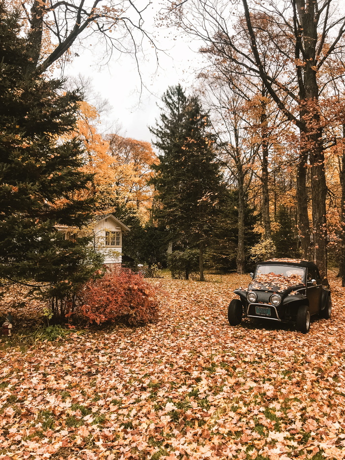 黑色汽车、绿色、红色、iphone、door county、wisconsin、classic、old house