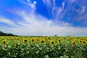 天空、夏天、云、风景、天气、自然、蓝色、乌克兰