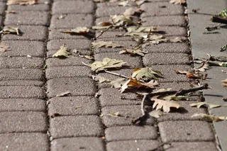 桥，铺路石，路面，石头，街道，道路，公园，秋天