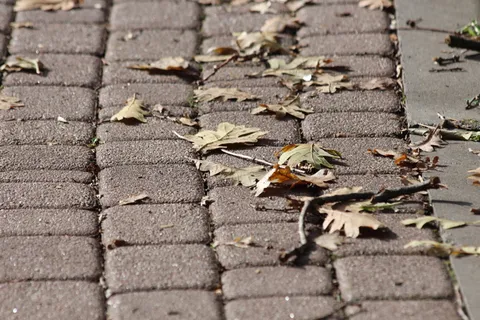 桥,铺路石,路面,石头,街道,道路,公园,秋天 桥,铺路石,路面,石头,街道,道路,公园,秋天