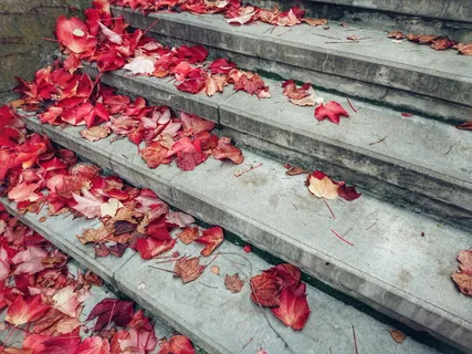 楼梯，秋天，树叶，渐渐，石头，悲伤，孤独，堕落