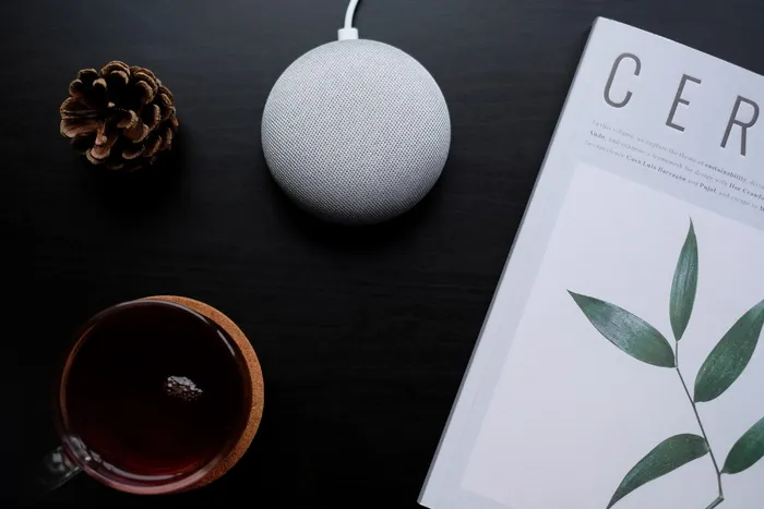 茶水旁的松果和便携式扬声器
