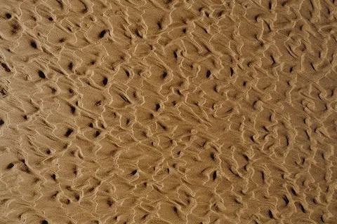 抽象线条由水上砂纹理设计而成