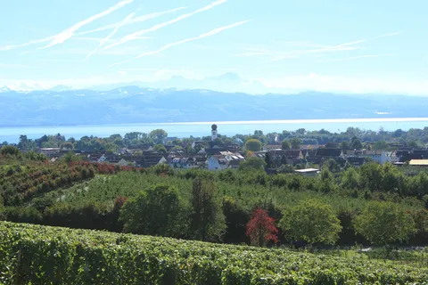 康斯坦斯湖，克莱斯布隆湖，植物，树木，风景-自然，天空，自然之美